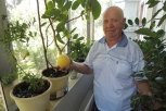 Благовещенский пенсионер выращивает в квартире лимоны, гранаты и лавровый лист
