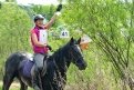 Чемпионат по спортивному ориентированию на лошадях пройдет в окрестностях Благовещенска