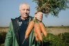 Летняя засуха нанесла удар по урожаю