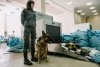 Объем посылок из Китая дорос в Приамурье до рекорда