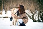 Благовещенцам предлагают обняться с хаски