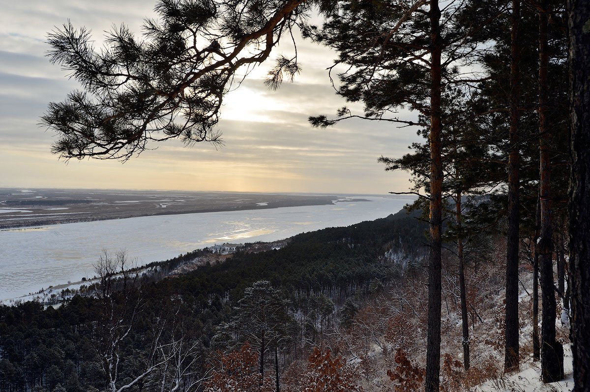 Амурская область благовещенск погода на 2 недели. Приамурье климат фото. Фото природы ноябрь Амурская область. Картинки ноябрь Благовещенск.