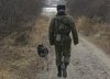 «Ракурс» Андрея Анохина. Поймать злодея по пути за хлебом