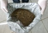 Полицейские изъяли килограмм конопли у жителя Ивановского района