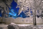 Сегодня в Приамурье снег пройдет лишь на севере области
