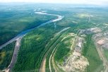 Почти 200 гектаров земель лесного фонда в Амурской области перевели в категорию промышленных