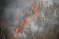 Пожарные посты откроются в Магдагачинском и Зейском районах