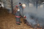 Для борьбы с лесными пожарами в Приамурье привлекут группировку из 100 десантников
