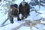 В попытках скрыться браконьеры в Приамурье кидали в егерей консервы и туши убитых животных