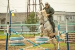 Кони, собаки и гранатометы: пограничники провели для детей села Николаевка урок мужества