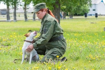 В соревнованиях служебных собак в Приамурье впервые участвует парсон-рассел-терьер