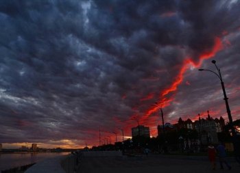 Инстаобзор АП: триллер в курятнике, небесный разлом и корова размером с ладошку