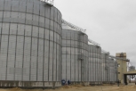 Семенной завод в Екатеринославке ищет самые урожайные сорта сои