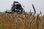 Уборка зерновых в Приамурье задержалась из-за дождей, но обещает хороший урожай