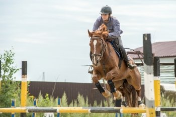 Смешались в кучу кони, люди: фоторепортаж с конноспортивных соревнований