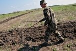 Более 20 амурчан получили дальневосточный гектар
