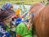 Лошади в «белых халатах»: клуб конного туризма «КонТур» проводит бесплатные занятия по иппотерапии