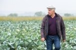Гродековский фермер — о современных сортах картофеля и отличии китайской капусты от амурской