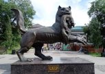 В онлайн-голосовании за новую купюру лидирует иркутский бабр