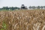 Амурские аграрии собрали 88 процентов пшеницы