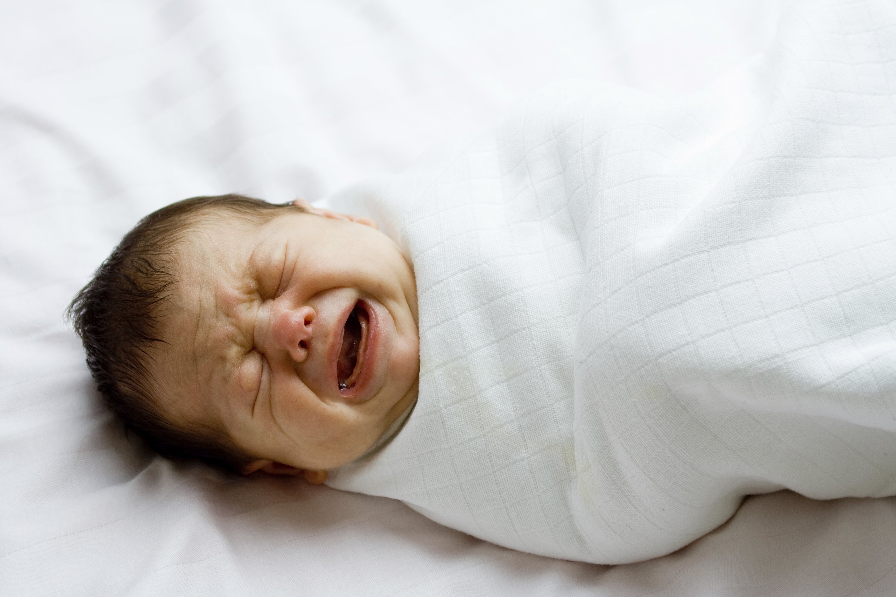 Ребенку 2 недели плачет. Новорожденный ребенок. Фото младенца. Новорожденный плачет. Грудной ребенок.