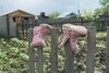 С начала года от несчастных случаев в семьях в Приамурье погибли 13 детей