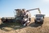 В «Корфовском» модернизируют тракторный парк, привлекают на работу молодежь и расширяют рынок сбыта