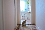 Эксперты: сдача в аренду новой квартиры в Благовещенске окупит ее покупку через 12 лет