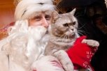 Российский Дед Мороз: «Не такой уж я и старый — у меня есть селфи-посох!»