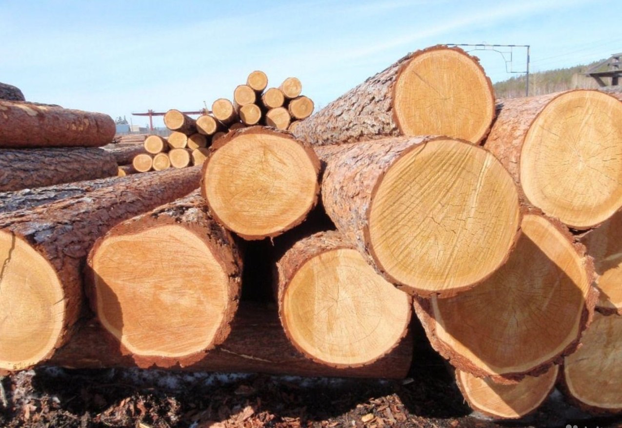 Экспорт древесины с Дальнего Востока вырос на 16 процентов / В 2016 году через таможни Дальнего Востока было вывезено 7,5 миллиона тонн древесины, что на 16 % больше, чем в 2015 году. Такую информацию озвучило Дальневосточное таможенное управление, сообщает DV-land.