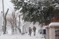 На Приамурье обрушился снегопад: в Благовещенске за ночь выпала месячная норма снега