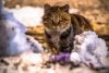 Последние выходные февраля порадуют амурчан теплом