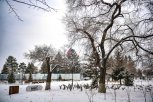 Утро с «Амурской правдой»: омлет с яблоками, поцелуй кита и песня про зиму от Сергея Шнурова