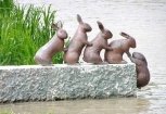 Первомайский парк в Благовещенске украсят выполненные горожанами скульптуры