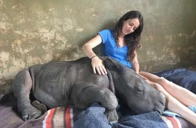 Утро с «Амурской правдой»: обнимающийся детеныш носорога, рецепт спортивных кексов и видео дня