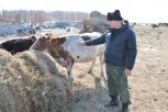 Амурских фермеров избавили от бумажной волокиты при кредитовании