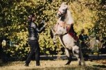 Мэрия Благовещенска запретила кататься на лошадях по набережной
