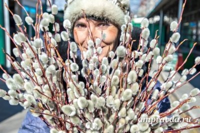 Сегодня христиане празднуют Вербное воскресенье