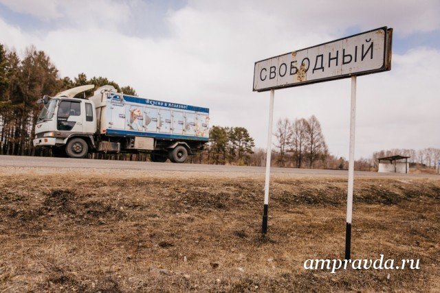 Телепрограмма на сегодня фото