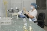 Компания «Аметис» выпускает амурские природные препараты для сельскохозяйственных культур