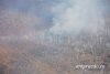 Все лесные пожары потушили в Амурской области