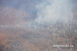Все лесные пожары потушили в Амурской области