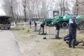 Возле Тамбовки амурские энергетики высадили 360 саженцев сосны