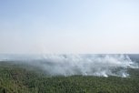 За выгоревший лес начальника Норского лесхоза оштрафовали на 20 тысяч рублей