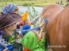 В Среднебельском женском монастыре детей покатают на пони и дадут пострелять из лука