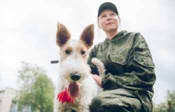 Реактивная Дана: амурские пограничники взяли на службу неутомимого фокстерьера