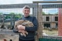 Самый большой кролик, выращенный на ферме Панфилова, весит 7 килограммов.