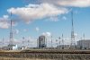 Стройотряды переселят краснокнижных на Восточном