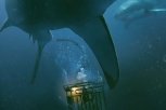 На клеточном уровне: рецензия на новый триллер с акулами «Синяя бездна»