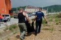 В Тынде застрелили промышлявшего на помойке медведя (видео)